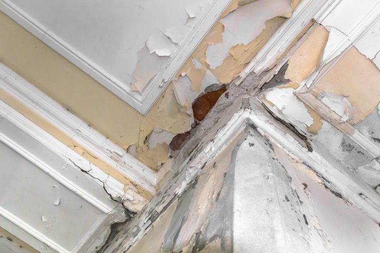 peeling paint on an interior ceiling as a result of water damage